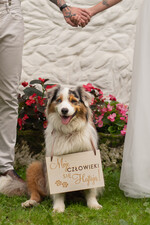 Dekoracje Sali weselnej/Dodatki do Zdjęć tabliczki z napisami  Moje Człowieki się hajtają - Tabliczka do Zdjęć z napisem - Slubna Tabliczka dla Psa3