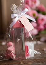 wieczór Panieński zestawy podziekowania na wieczór panieński Zestaw podziękowania za wieczór panieński  Prezent dla dziewczyn na Panieński Butelka i elektrolity1