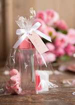 wieczór Panieński zestawy podziekowania na wieczór panieński Zestaw podziękowania za wieczór panieński  Prezent dla dziewczyn na Panieński Butelka i elektrolity3