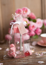 wieczór Panieński zestawy podziekowania na wieczór panieński Zestaw podziękowania za wieczór panieński  Prezent dla dziewczyn na Panieński Butelka i elektrolity1