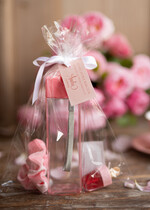 wieczór Panieński zestawy podziekowania na wieczór panieński Zestaw podziękowania za wieczór panieński  Prezent dla dziewczyn na Panieński Butelka i elektrolity2