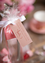 wieczór Panieński zestawy podziekowania na wieczór panieński Zestaw podziękowania za wieczór panieński  Prezent dla dziewczyn na Panieński Butelka i elektrolity3