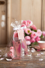 wieczór Panieński zestawy podziekowania na wieczór panieński Zestaw podziękowania za wieczór panieński  Prezent dla dziewczyn na Panieński Butelka i elektrolity2