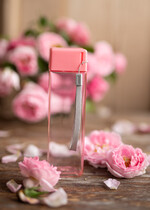 wieczór Panieński zestawy podziekowania na wieczór panieński Zestaw podziękowania za wieczór panieński  Prezent dla dziewczyn na Panieński Butelka i elektrolity5