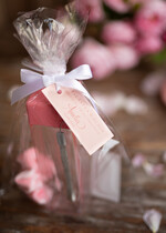 wieczór Panieński zestawy podziekowania na wieczór panieński Zestaw podziękowania za wieczór panieński  Prezent dla dziewczyn na Panieński Butelka i elektrolity3