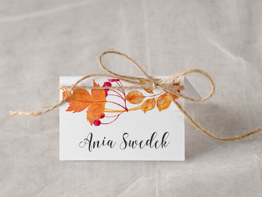  Boho/etno/pióra usadzenie gości na weselu winietki