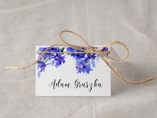  Boho/etno/pióra usadzenie gości na weselu winietki