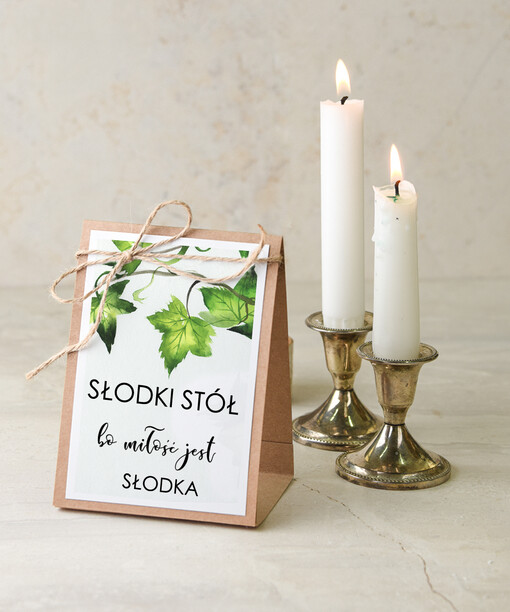  botaniczne podróżnicze  numery na stoły weselne, przepiekne ilustracje w stylu boho