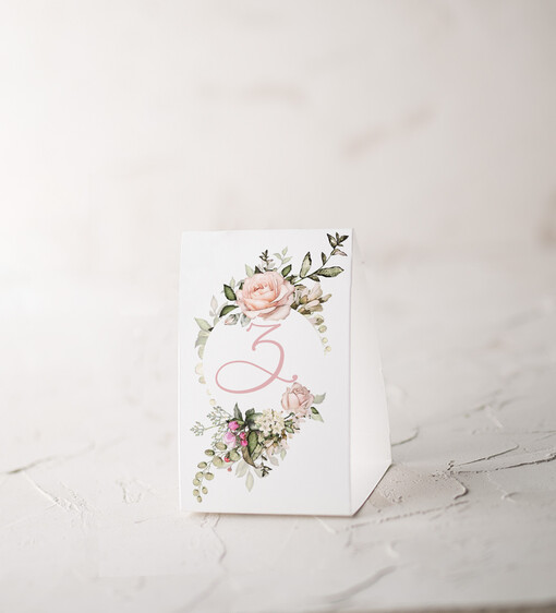  botaniczne podróżnicze  numery na stoły weselne, przepiekne ilustracje w stylu boho