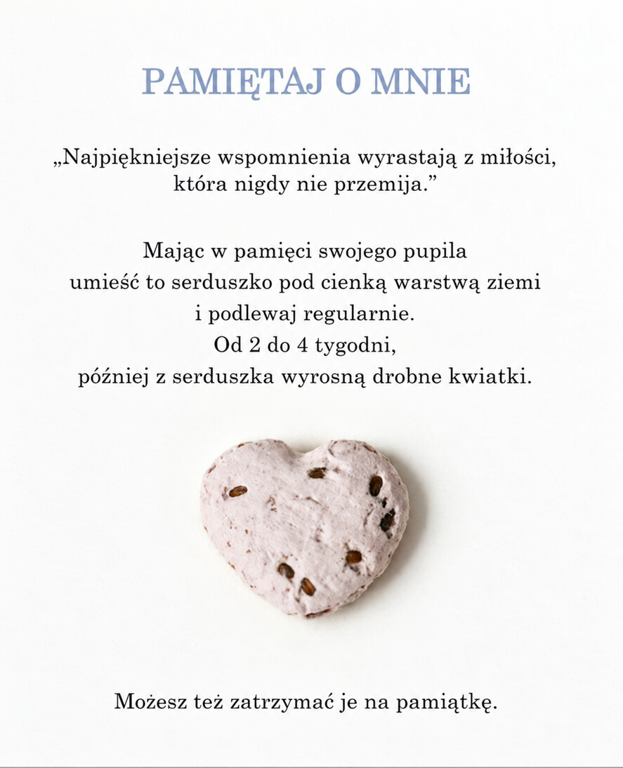 PREZENTY NA RÓŻNE OKAZJE  Kaligrafia pamiętaj o mnie pamiątkowe serduszka z nasionkami 0