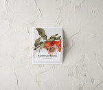 Winietki botaniczne podróżnicze  karteczki ślubne winietki weselne, eleganckie1