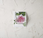 Winietki botaniczne podróżnicze  ślubne winietki wizytówki dla gości weselnych, eleganckie1