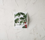 Winietki botaniczne podróżnicze  karteczki ślubne winietki weselne, rustykalne1