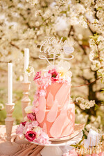 Figurki na tort / cake topper statuetki akryl figurki na tort weselny   3