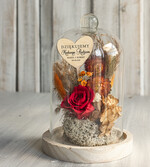 Prezenty, Podziękowania dla Rodziców Kompozycje Kwiatowe / Flowerboxy Personalizowane podziękowania dla Rodziców flowerbox z suszonych kwiatów, Wieczna róża Podziękowanie od Młodej Pary kwiaty w szklanej kopule, pomysł na prezent dla Rodziców lub Mamiy2